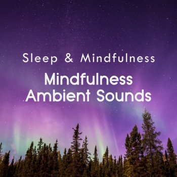 Sleepy Times Ambient Mindfulness Sounds, Pt. 60