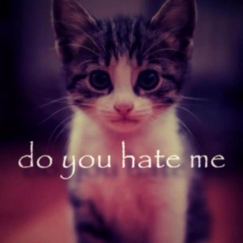 Исполнитель 0ry, альбом Anima susceptible del error cotidiano