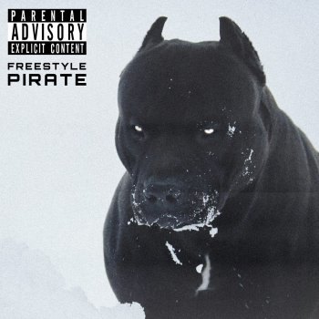 Booba FREESTYLE PIRATE