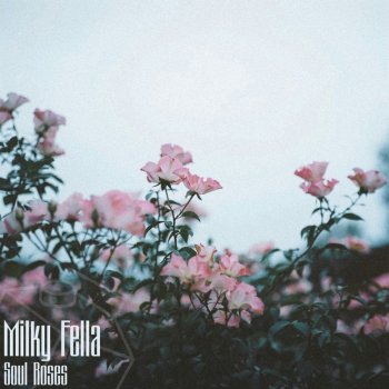 Milky Fella Lovers Holiday