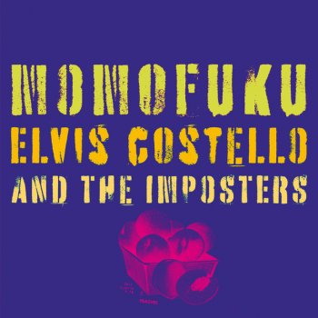 Elvis Costello Song With Rose