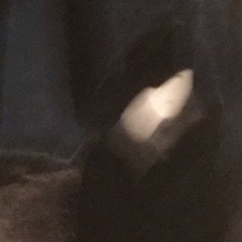 ʎpoqou ǝoɾ ǝƃɐɹǝʌɐ ɹnoʎ ʇsnɾ