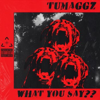 Tumaggz What You Say