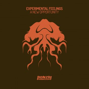 Experimental Feelings Fight
