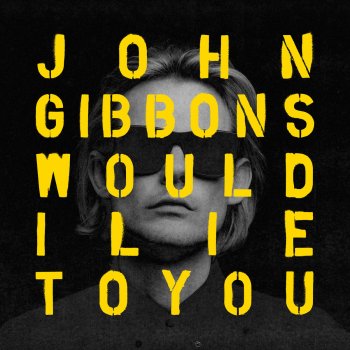John Gibbons Would I Lie to You