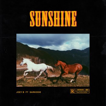 Joey B feat. Sarkodie Sunshine