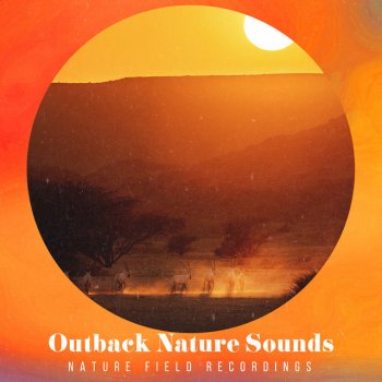 Nature Field Recordings Crystals Lakeside