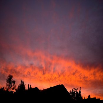 Исполнитель Kampsy, альбом In the Now