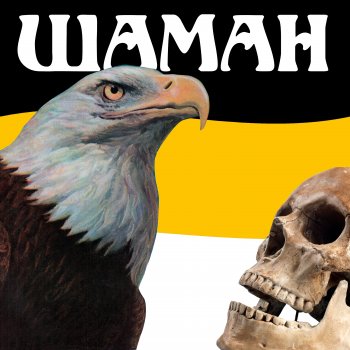 Исполнитель Gregy, альбом Шаман