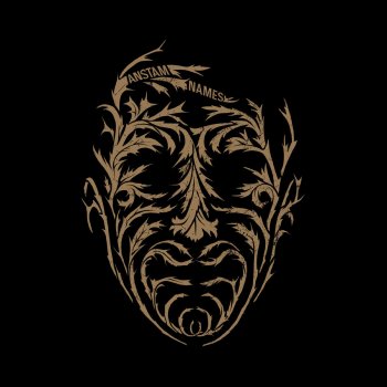 Anstam The Obvious And The Impeccable