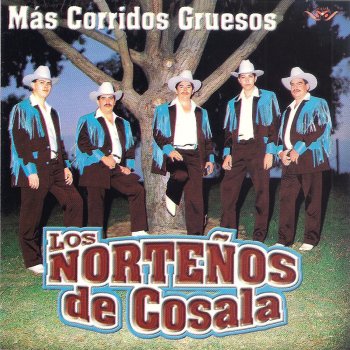 Los Nortenos De Cosala La Bronco