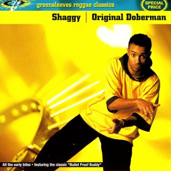 Shaggy P.H.A.T.