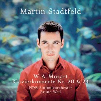 Wolfgang Amadeus Mozart feat. Martin Stadtfeld & Bruno Weil Piano Concerto No. 20 in D Minor, K. 466: II. Romance