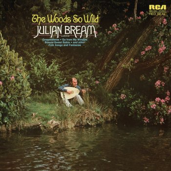 Julian Bream Packington's Pound