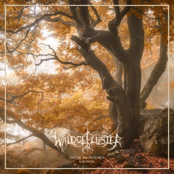 Waldgeflüster Herbst befiel das Land MMXXIII