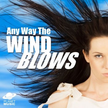 The Hit Co. Wild Is the Wind