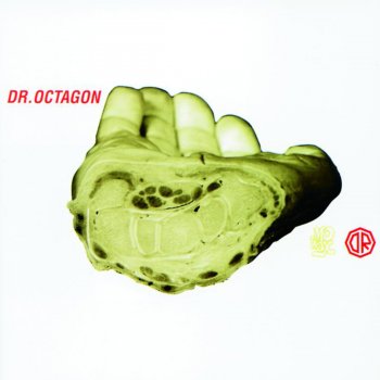 Dr. Octagon On Production