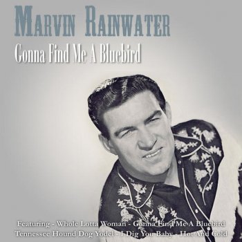 Marvin Rainwater Halfbreed