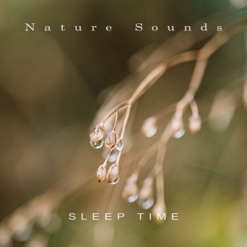 Nature Sounds Natural Beauty