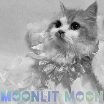 MOON Easy Life