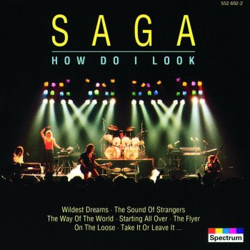 Saga The Way Of The World