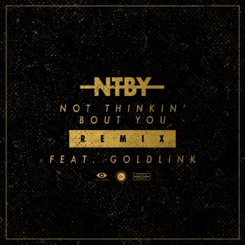 Ruel feat. GoldLink Not Thinkin' Bout You (Remix)