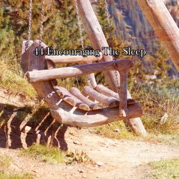 Sound Sleeping Conception Of Slumber