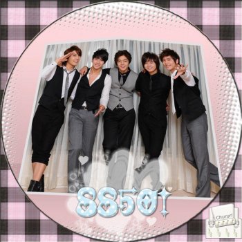 SS501 U R Man