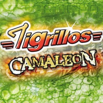 Los Tigrillos & Tigrillos La Botella