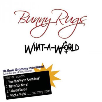 Bunny Rugs Now That We've Found Love (bonus re-mix long play version)