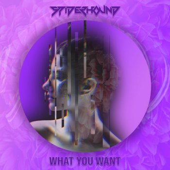 Spiderhound What You Want