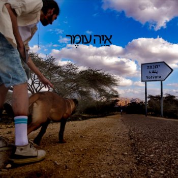Oby הכלבלב מקיבוץ יטבתה
