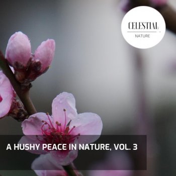Heaven and Earth Nature Sounds Stay Awake with Hooting Night Owls