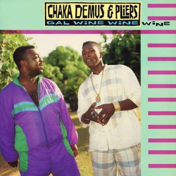 Chaka Demus & Pliers Bad Mind