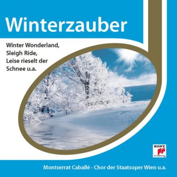 Исполнитель Michael Praetorius, альбом Winterzauber