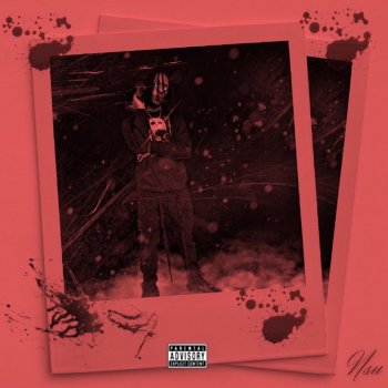 Wizzy Snow Beef