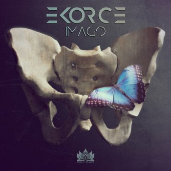 Ekorce Feel Your Skin
