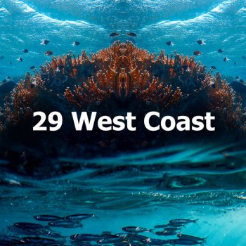 Ocean FX West Coast