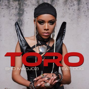 Исполнитель Sho Madjozi, альбом Toro (feat. DDG) - Single