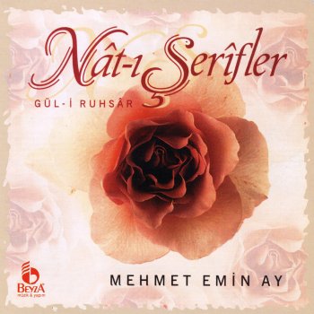 Mehmet Emin Ay O Gece Sendin Gelen