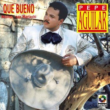 Pepe Aguilar Carmentea