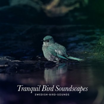 Swedish-Bird-Sounds Passion Midsummer