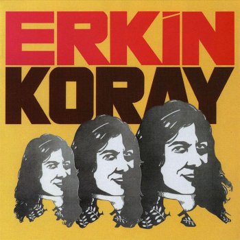 Erkin Koray Seni Her Gördüğümde