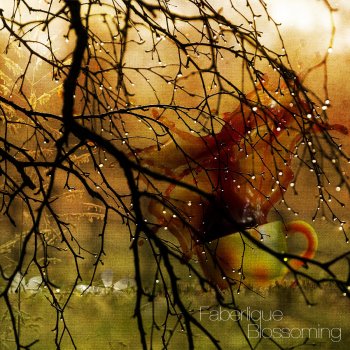 Исполнитель Faberlique, альбом Blosooming