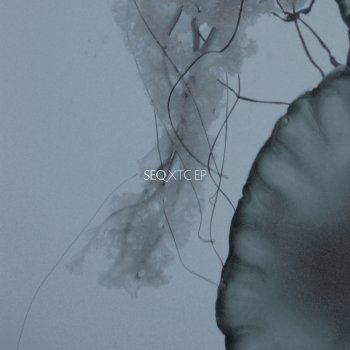 Seq feat. Steven Campodonico CCB - Steven Campodonico Remix
