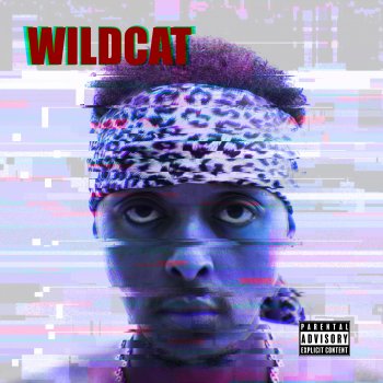 Rawmny Wildcat Still Standing (feat. Mic Gutz & Tank Da Boss)