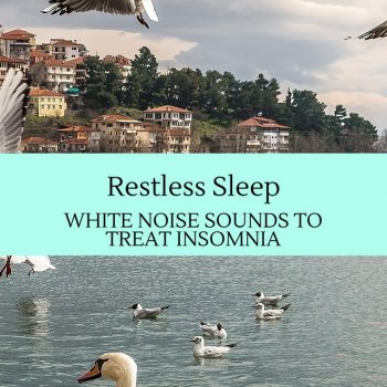 Divine Slumber White Noise Machine Woodland Waves