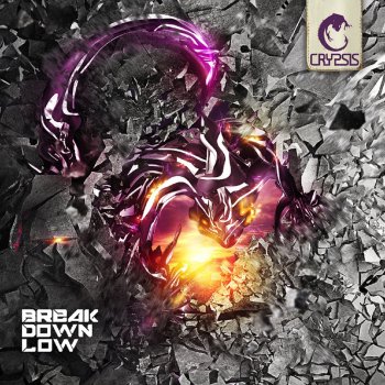 Crypsis Break Down Low