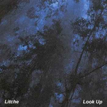 Litche Look Up