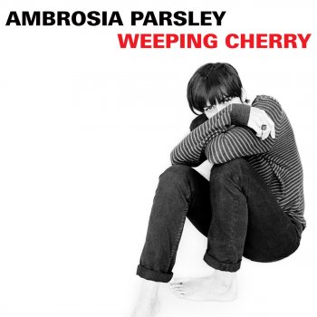 Ambrosia Parsley My Hindenberg